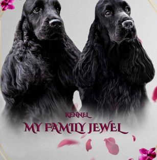 My Family Jewel