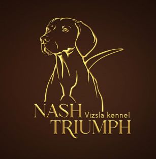 NASH TRIUMPH