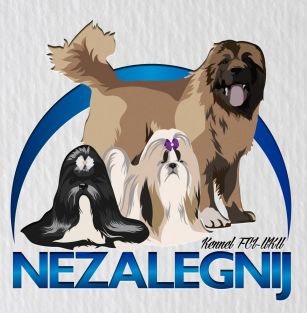 Nezalegnij 