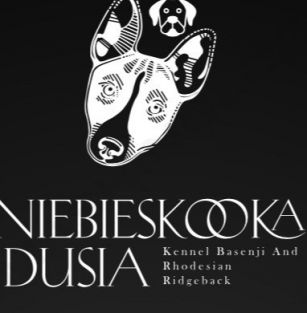 Niebieskooka Dusia 