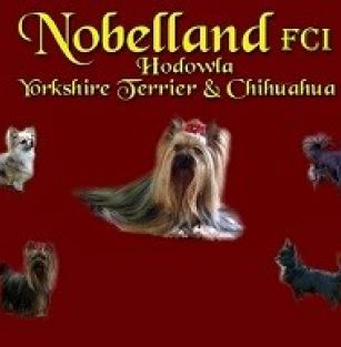 Nobelland FCI 