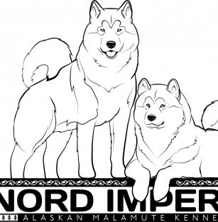 Nord Imperial 
