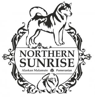 NORTHERN SUNRISE