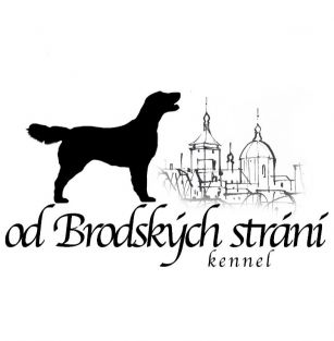 od Brodských strání