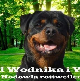 Od Wodnika i Wagi FCI