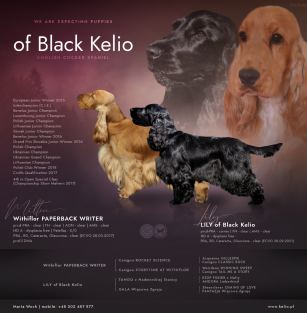 of Black Kelio