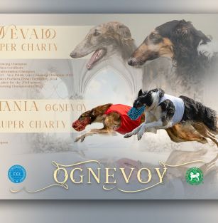 Ognevoy