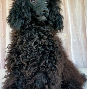 Оксана Александровна