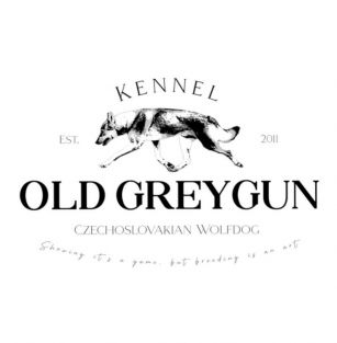 Old GreyGun