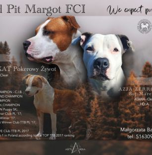 Old PIT Margot FCI