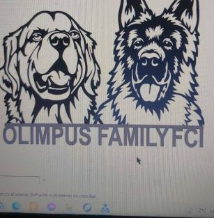 OLIMPUS FAMILY FCI 