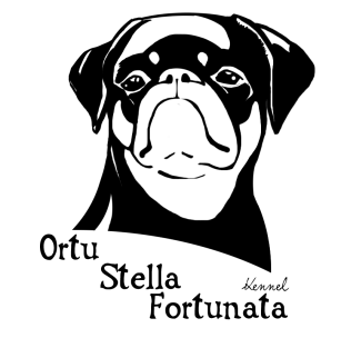 Ortu Stella Fortunata 