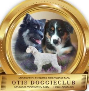 OTIS DOGGIE CLUB 