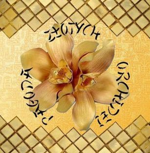 Pagoda Złotych Orchidei FCI