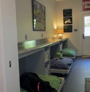 Paradiseisland Puppies