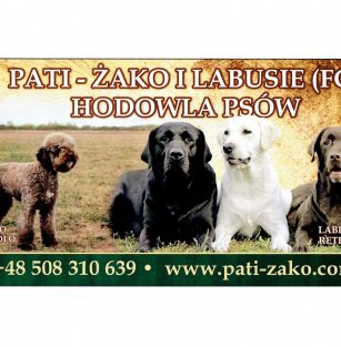 Pati -Żako i Labusie (FCI)