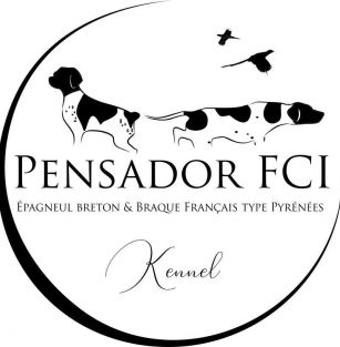 Pensador FCI