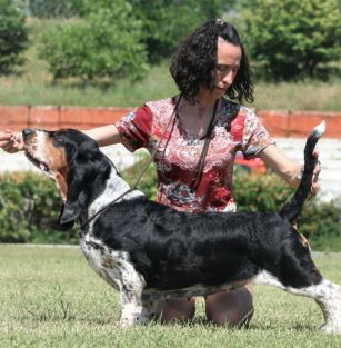  Перлина Таврії