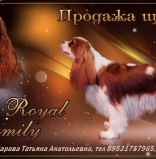 Piter's Royal Family 