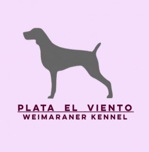 Plata El Viento