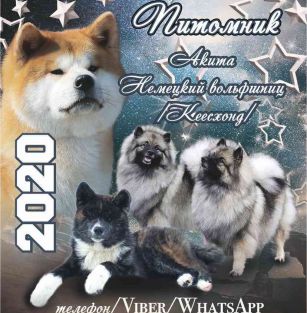 Победа Небес