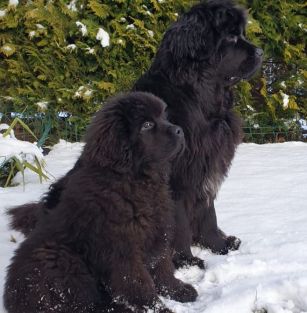 Pogwizdowskie Wzgórze