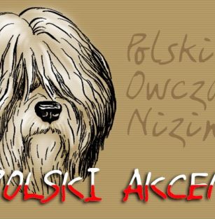 Polski Akcent FCI