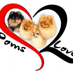 Poms 2 Love