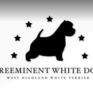 Preeminent White Dog 