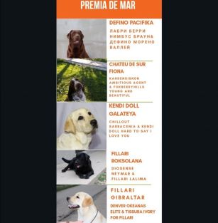 Premia De Mar 