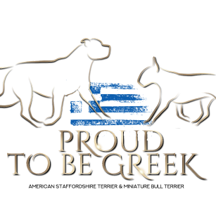 Proud to Be Greek