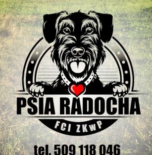 Psia Radocha FCI