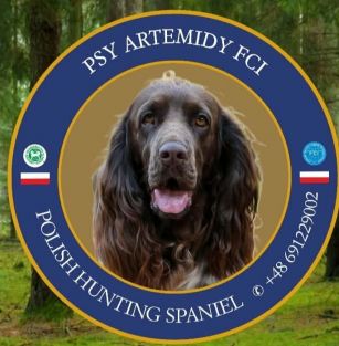 Psy Artemiy (FCI)