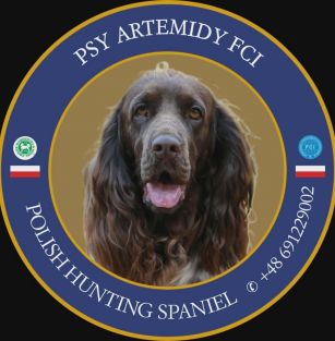 Psy Artemiy (FCI)