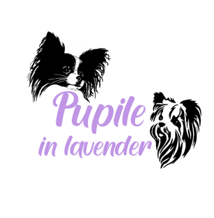 Pupile in Lavender