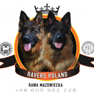 Ravers Poland