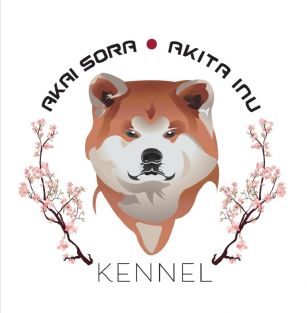 Réka Leskó, Akai sora kennel 