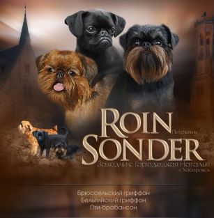 ROIN SONDER 