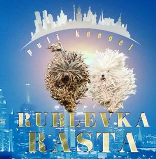 Rublevka Rasta puli kennel 