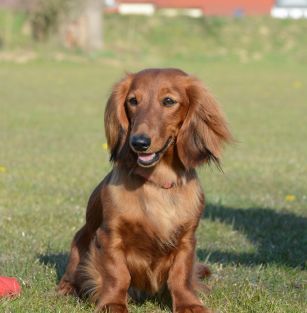 Ruda Banda z Piaskowej Góry 