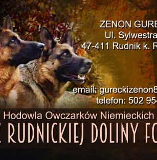 Rudnicka Dolina 