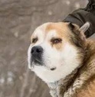 С Дачной 