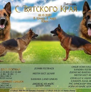 С Вятского Края