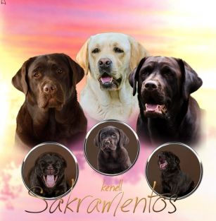 SAKRAMENTOS 