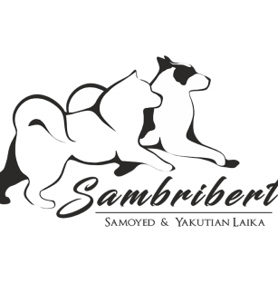 Sambribert
