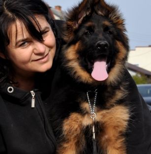 Sfora Chodel FCI Poland