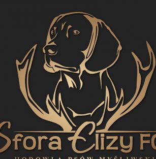 Sfora Elizy FCI 