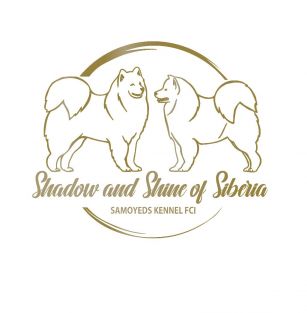 Shadow and Shine of Siberia