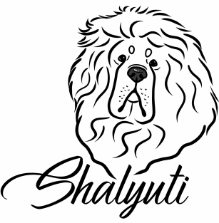 SHALYUTI 