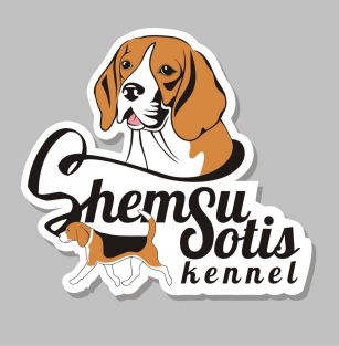 Shemsu Sotis